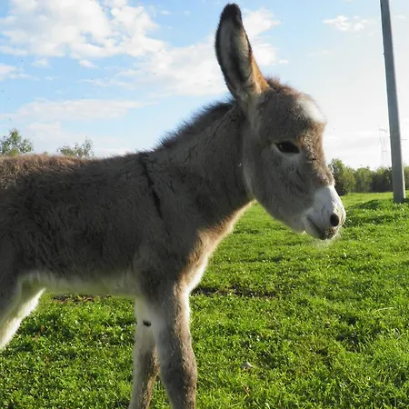 Casa Casti * Sant' Antonio di Santadi