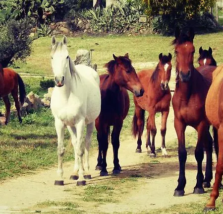 Casa Casti Bed & Breakfast Sant' Antonio di Santadi