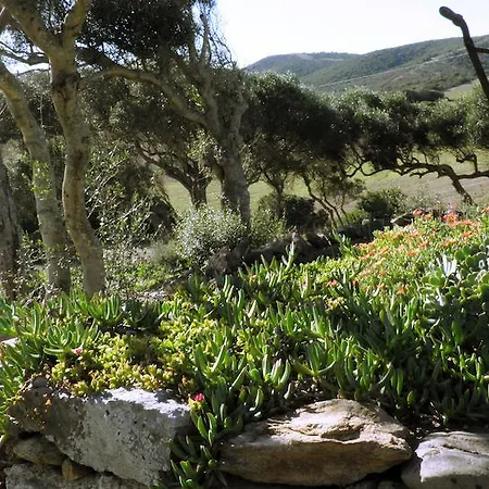 Bed & Breakfast Casa Casti