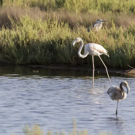 Bed & Breakfast Casa Casti Sant' Antonio di Santadi